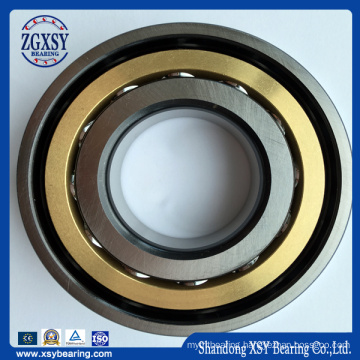 7019c7019AC Water Pump Angular Contact Ball Bearing